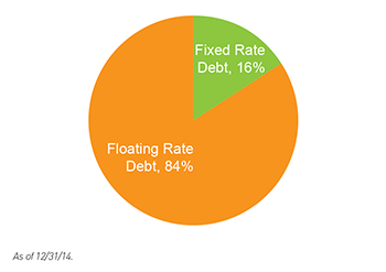 fixed and floating rate debt investments pie chart